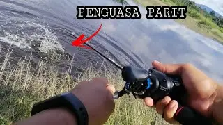 Ikan penguasa parit || casting haruan/gabus/snakehead
