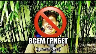 Rize044 - Всем Грибет **goose diss**(Official Audio)(subtitles)(2026)