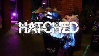 Curious Legends - Hatched Performance