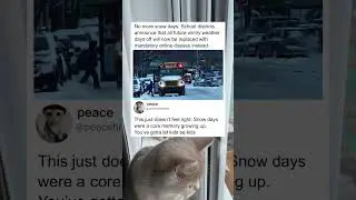 Le giornate di neve vengono sostituite dalla scuola online