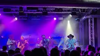 Steve 'N' Seagulls - Self Esteem [4K] (The Offspring Cover / 2025  live @ Im Wizemann | Stuttgart)