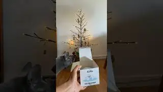 Finally got a cat massager machine for my cat.