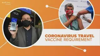COVID-19 vaccine & air travel | Connect the Dots