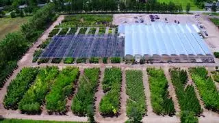 Connon Nurseries Robson Road Production Sales Yard