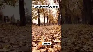 Autumn in Vienna (November 2022)