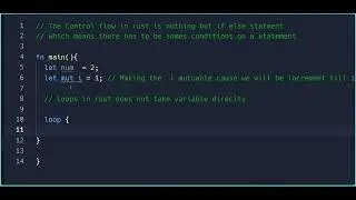 Control Flow in Rust