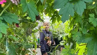 WEEKEND WITH MY STEPSON|| A day with my stepson #ruralliving #dutchlife #dutch