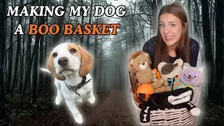 Making my DOG a BOO BASKET