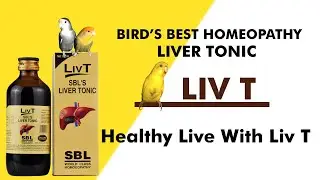 Bird's Best Homeopathy Liver Tonic . | LIV T | Homeopathic Liver Tonic. | Liver Tonic