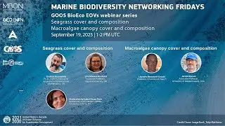 Marine Biodiversity Networking Friday on Seagrass cover and composition