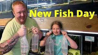 Unboxing New Tanganyika Cichlids from Dave's Rare Aquarium Fish