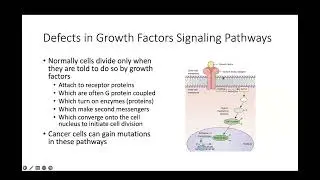 Topic 6 - Neoplasia