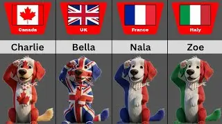 Most Popular Pet Dog Names From Different Countries