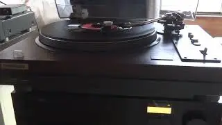 audio-technica VM95C(Yoko Oginome)