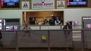 Jeremy Garber 2018 GMLAC Finals Run
