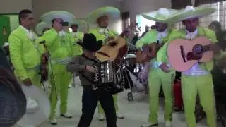 DAVID SAUCEDO CON EL MARIACHI GALA DE ORO.