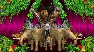 Animal Jungle -Motion graphics Video