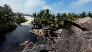 🇸🇨☀️Seychelles  🏝️La Digue - 🌊☀️🪨Grand Anse