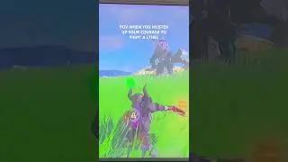 Too hard!! Helppp #botw #botwshorts #botwzelda #legendofzeldabotw #nintendoswitch #gameplay