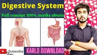 Digestive system|The structure & function of the digestive system| |Full concept| #science #biology