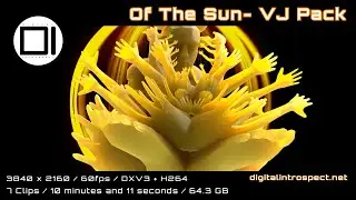 Of The Sun - 4K VJ Pack by Digital Introspect