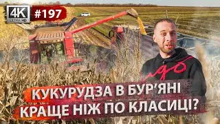 Жнива 2023. Молотимо кукурудзу 🌽 No-Till чи Класика❓Комбайни John Deere і Case
