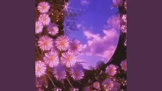 Analog Sunshine