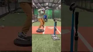 Indoor Batting Practice with Max Walla #mlb #basestars #brewers #baseballlife #baseballpractice