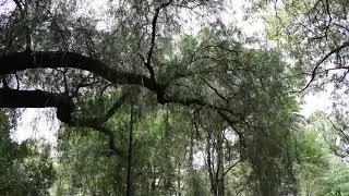 Galer&iacute;a Parque de Reloj