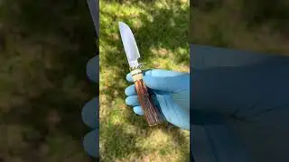 #edc #fwi #stag #magnacut #magnacutknife