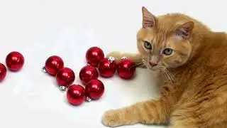 Christmas Music - Relaxing Music for Sleep, Healing, Concentration, Work, Study