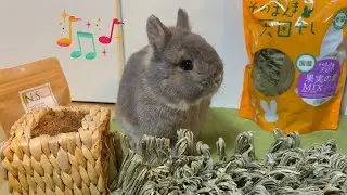 【No.122】新しいおもちゃとおやつをプレゼント★冬の寒さ対策を紹介！