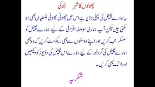 Farooq Nursery forum, The City Of flower Pattoki