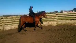 VIDEO0040
