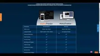 Обзор World Wide Markets - PFOREX.COM