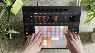 Jamuary 2026 01 Push 3 Standalone