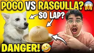 Pogo Rasgulla Dekh Kar Darr Gaya? 😱 Funny Dog Reaction! #funny #dailyvlog