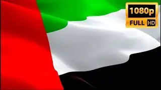 United Arab Emirates flag video waving in wind. Realistic UAE Flag background. United Arab flag HD