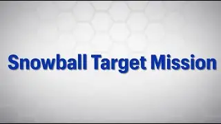 Snowball Target Training