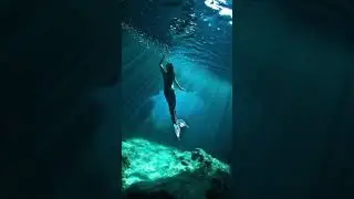 Crist&oacute;bal Col&oacute;n vi&oacute; SIRENAS. 🧜&zwj;♀️