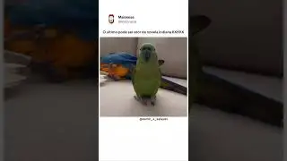 22 de agosto de 2026
