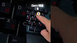Newest Cherry MX2A Black linear switches #shorts #keyboard #asmr #mechanicalkeyboard