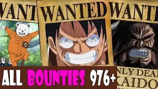 One Piece New Bounty Comparison