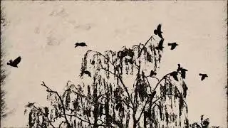 Grant Peeples-Dear Sadie