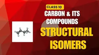 Class 10: Carbon and its compound: Isomers Revision #pyq #butane #C3H6O #Pentane #bromopentane
