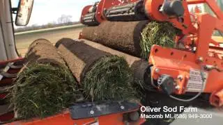 Oliver Sod Farm / Macomb Michigan