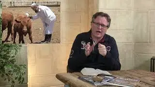 De profetische betekenis van de de Rode Vaars - Zoeklicht TV