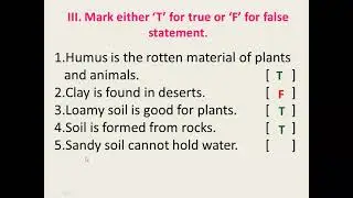 Rocks and soil class 3(check your progress)