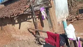 Baiga tribe village view
