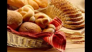 Case Study on the ban of Potassium bromide | Food Safety | SNS Institutions